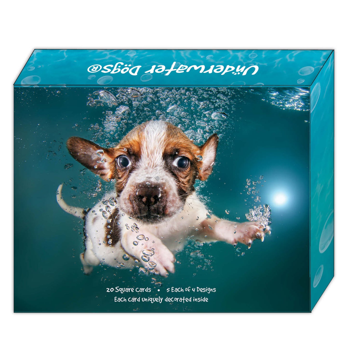 Underwater Dogs® - Boxed Note Card Assortment - 20 Cards & 20 Envelopes