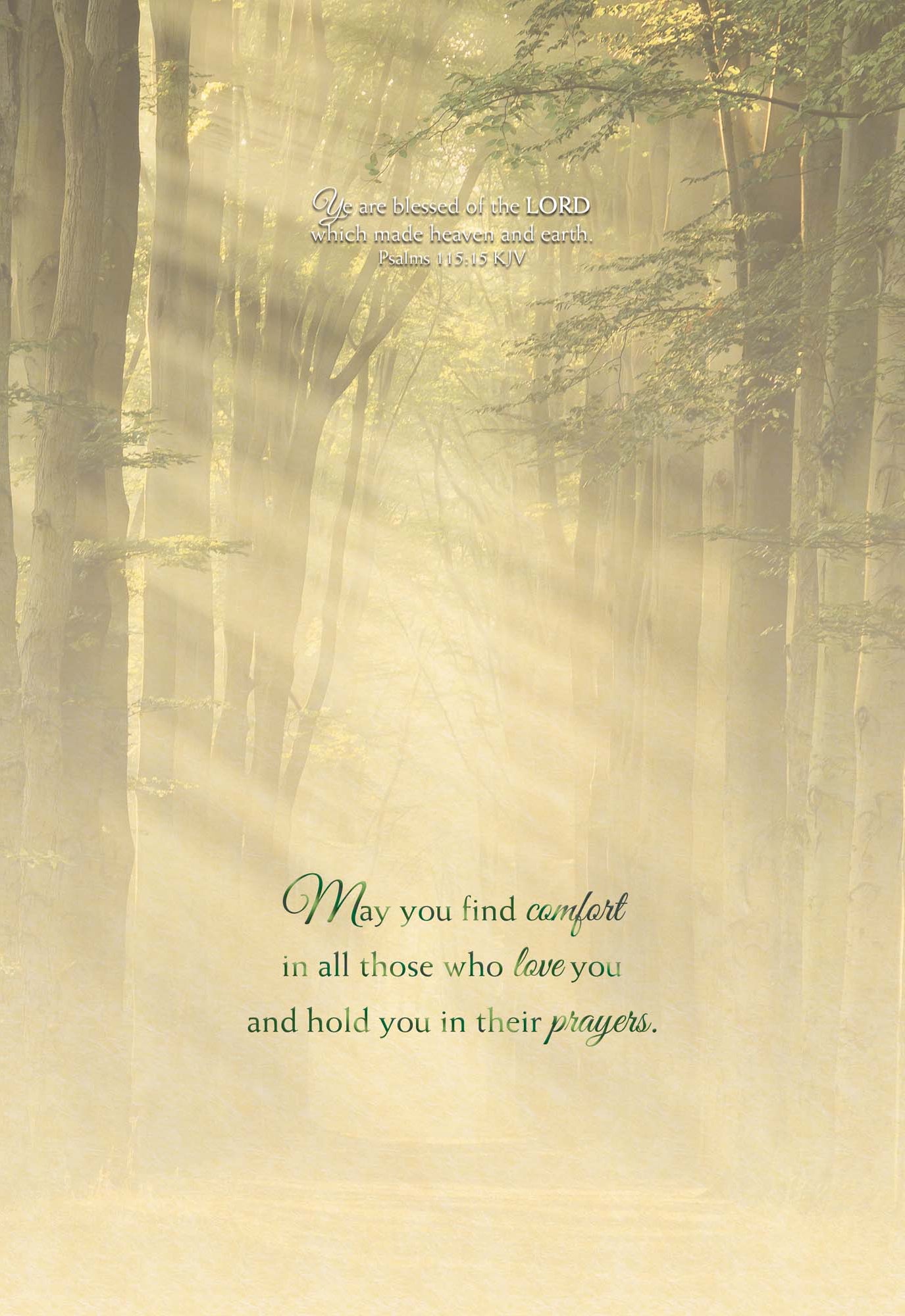 Light of the World- Box of 12 Assorted Sympathy Cards by Shared Blessings
