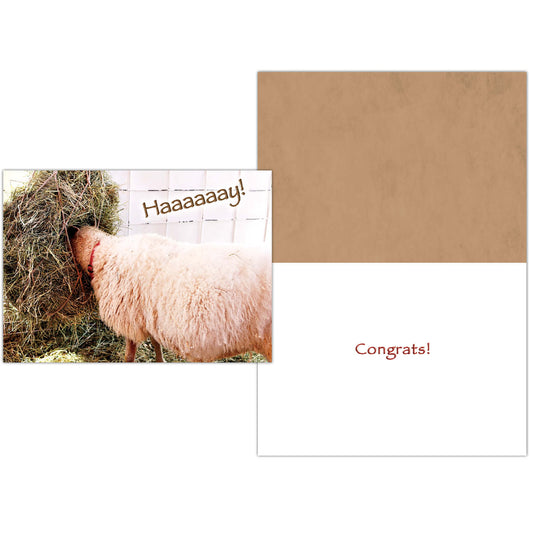 HAAAAAAY! Congratulations Greeting Card