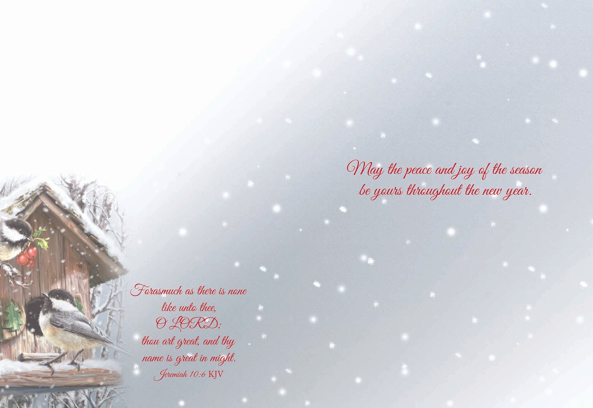 May the peace and joy of the season be yours throughout the new year.