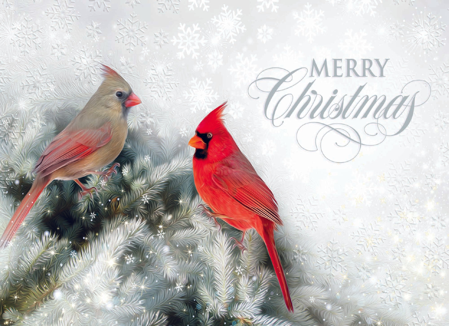 Boxed Christmas Cards - Winter Birds II