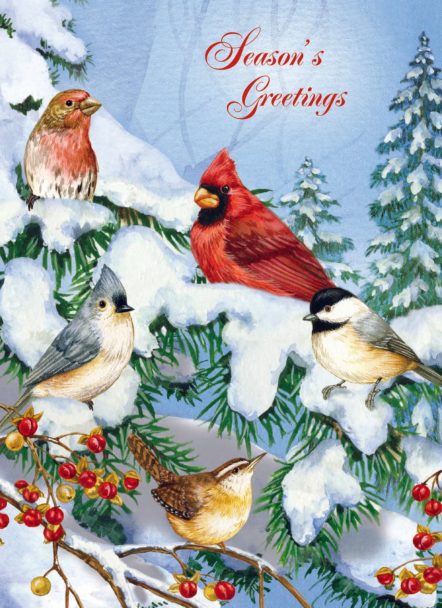 Boxed Christmas Cards - Winter Birds II