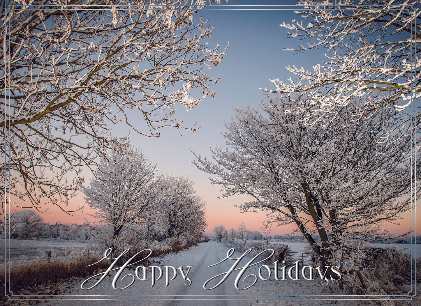 Happy Holidays