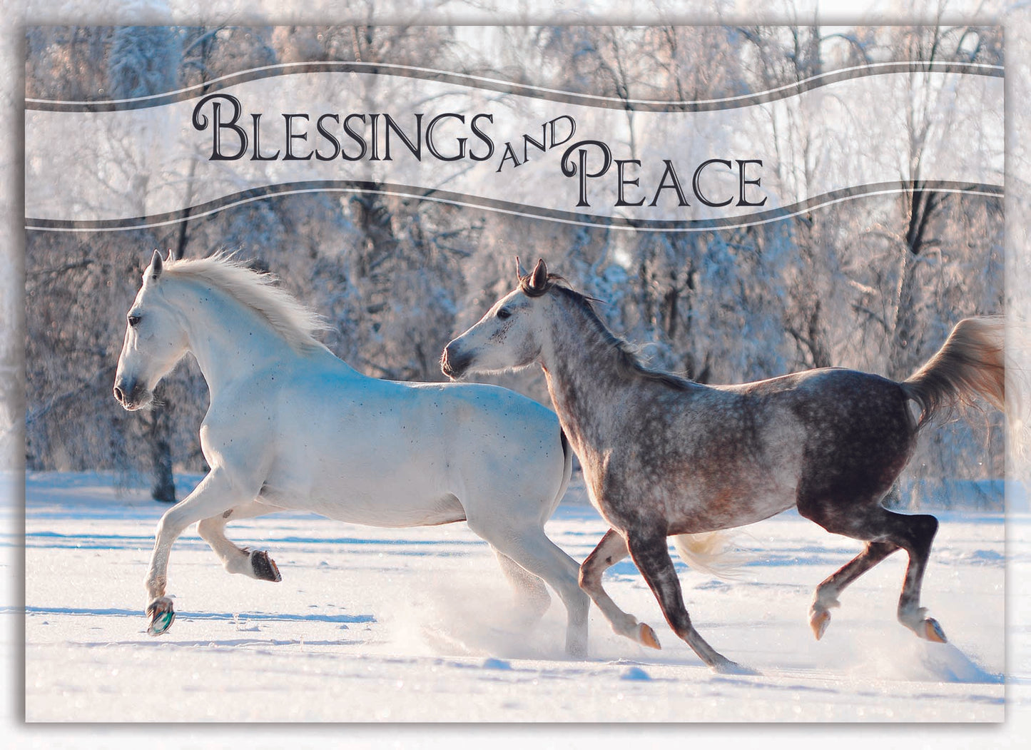 Christmas Horse Card