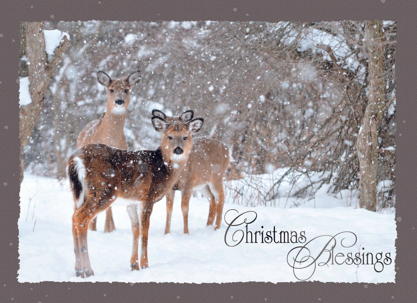 Christmas deer card