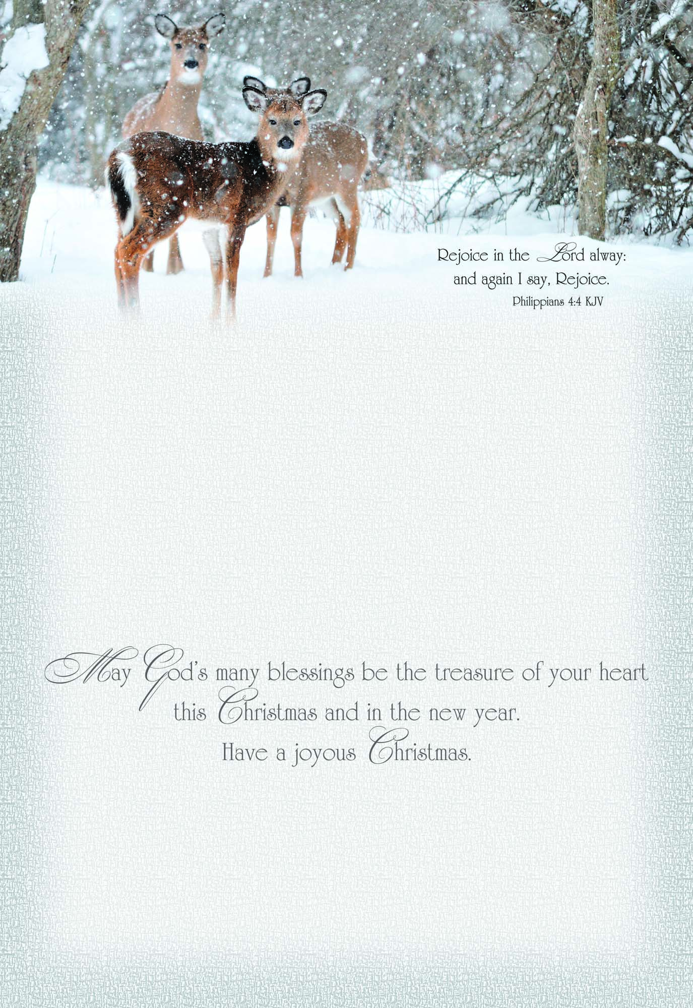 Christmas Blessings - Large Christmas Card Boxed Assortment with KJV Scripture