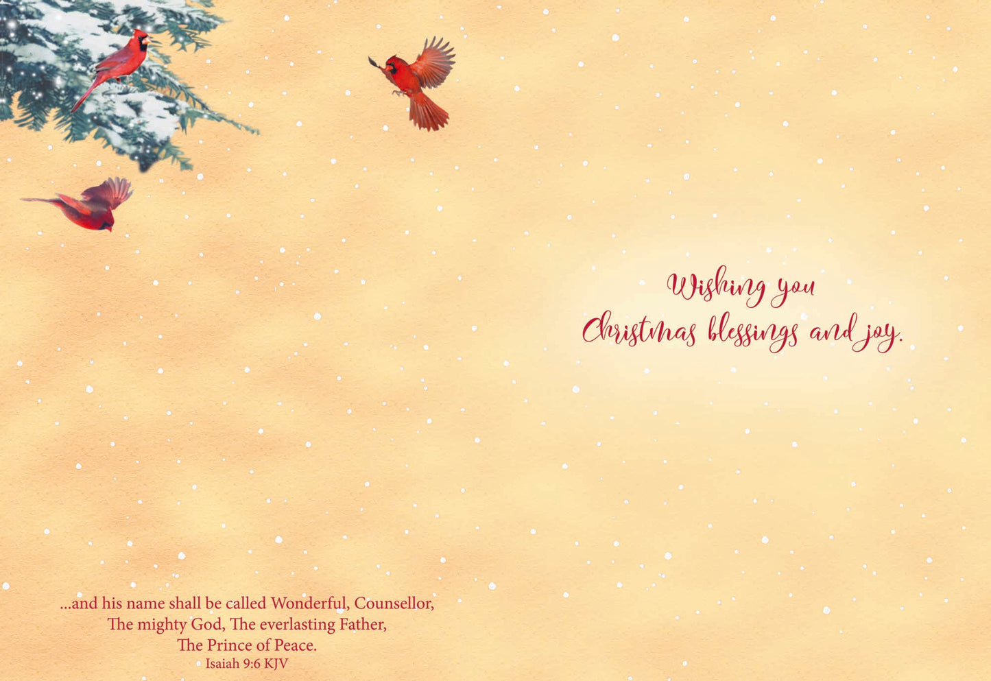 Boxed Christmas Cards - Winter Birds