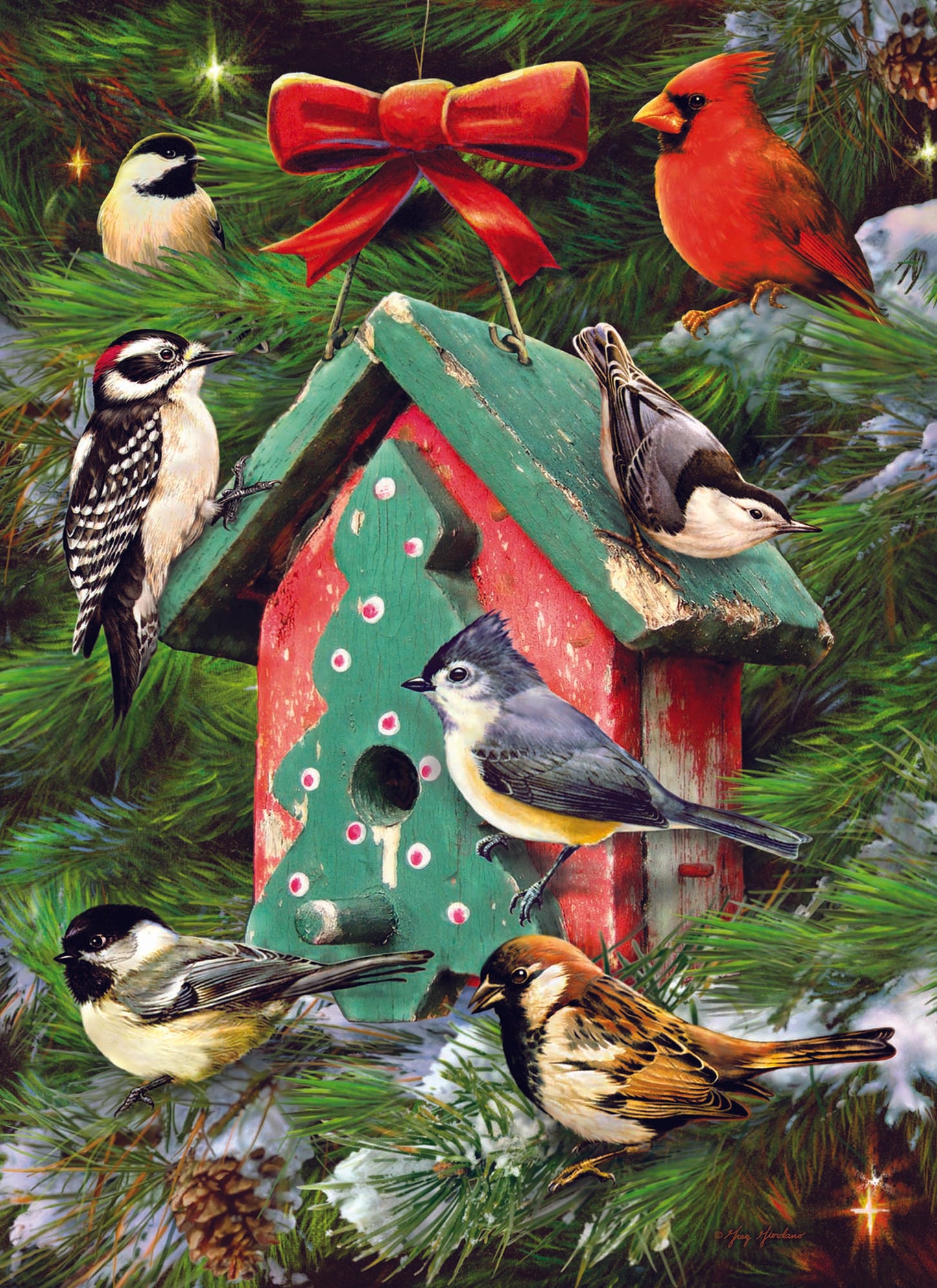 Boxed Christmas Cards - Winter Birds