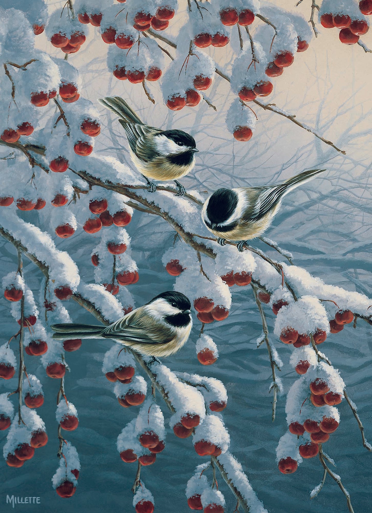 Boxed Christmas Cards - Winter Birds