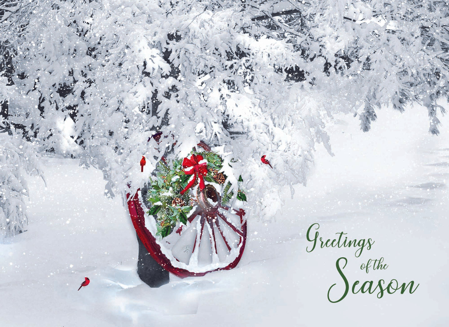 Large Boxed Christmas Card Assortment- Peace and Joy - 24 cards and envelopes
