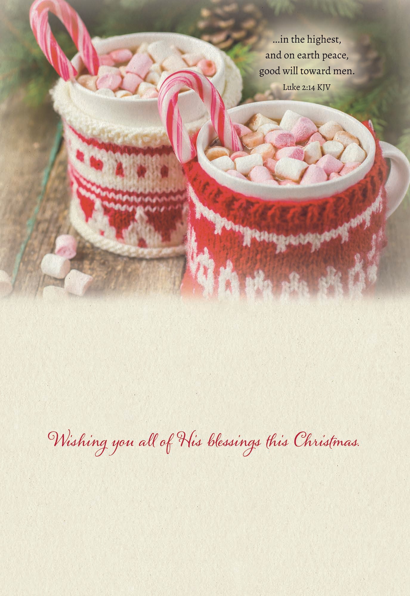 Large Boxed Christmas Card Assortment- Peace and Joy - 24 cards and envelopes