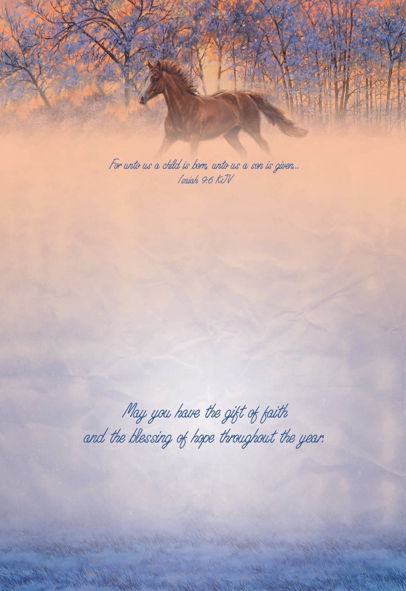 Large Boxed Christmas Card Assortment- Joyful Greetings - 24 cards and envelopes