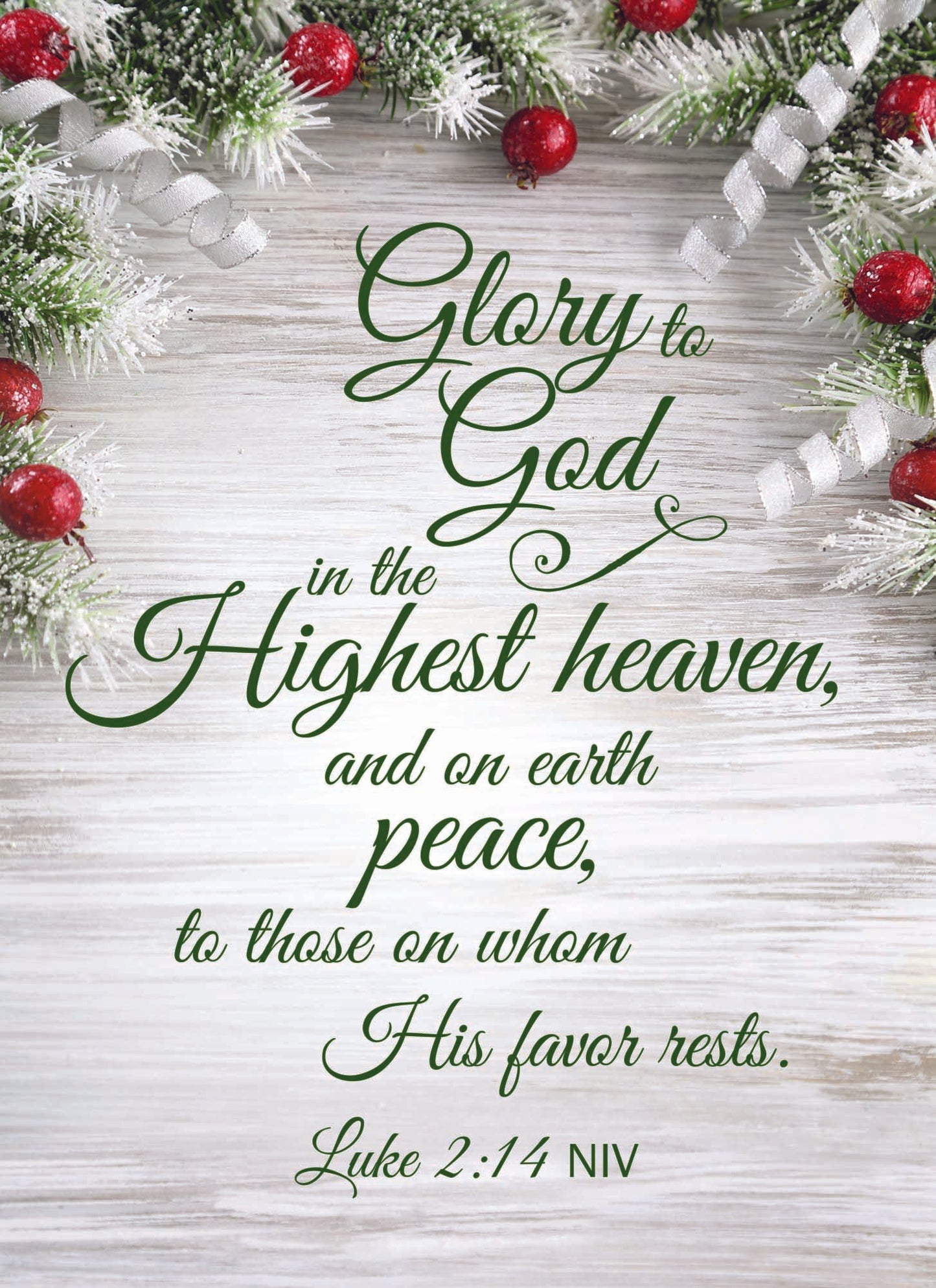 Large Boxed Christmas Card Assortment- Wonder and Joy - 24 cards and envelopes