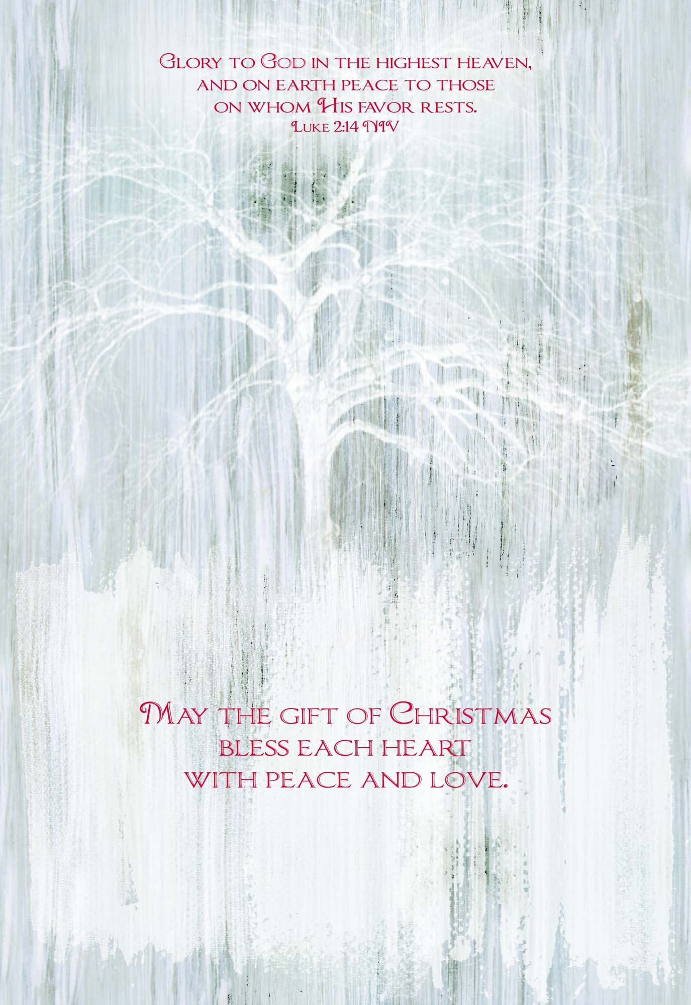 Large Boxed Christmas Card Assortment- Wonder and Joy - 24 cards and envelopes