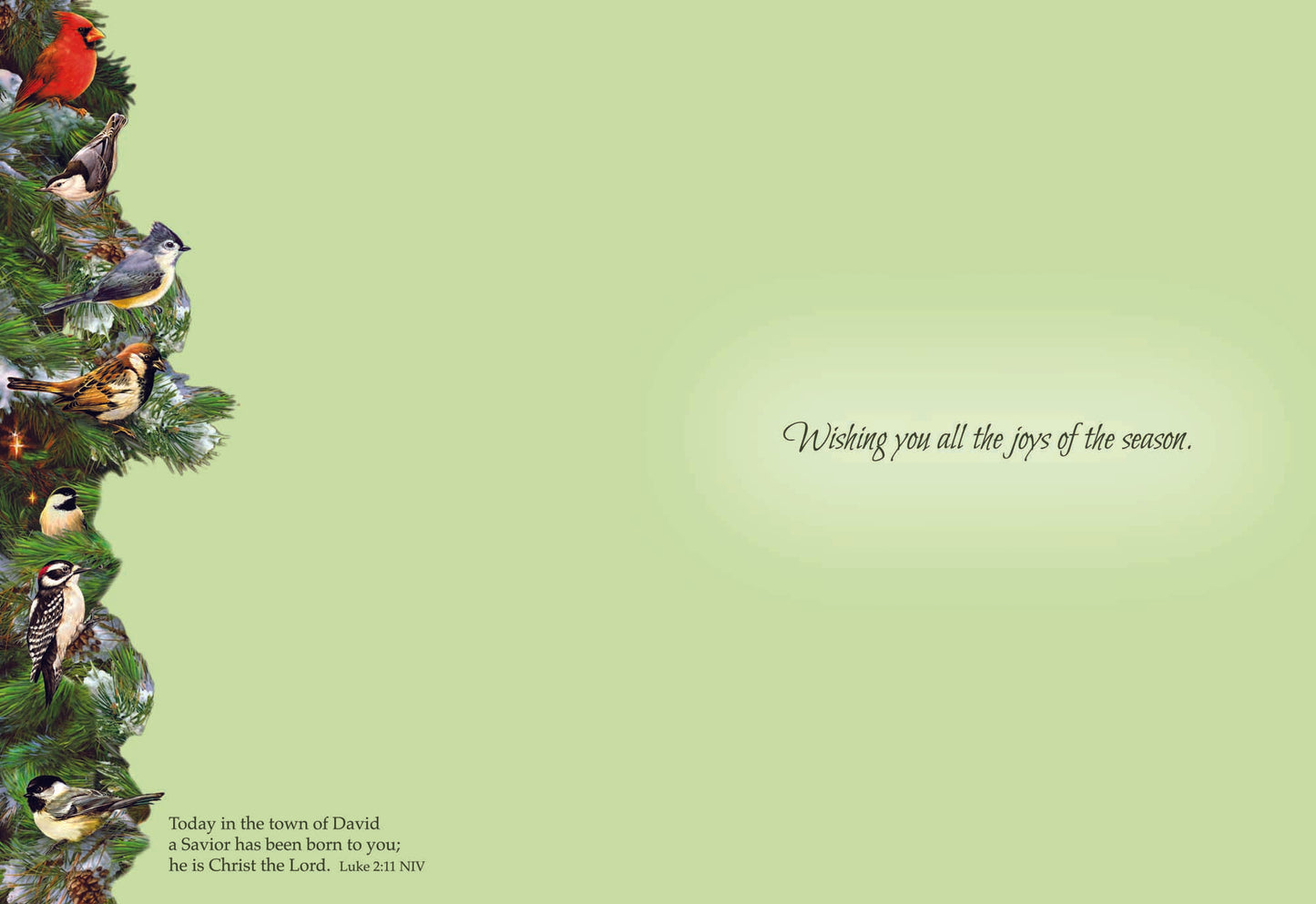 High-Quality Christmas Card