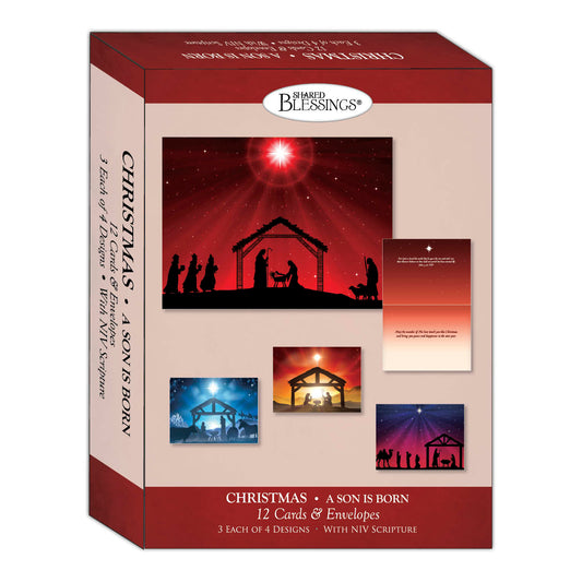 Christian Christmas Cards by Shared Blessings -A Son is Born, 12 NIV Cards and Envelopes