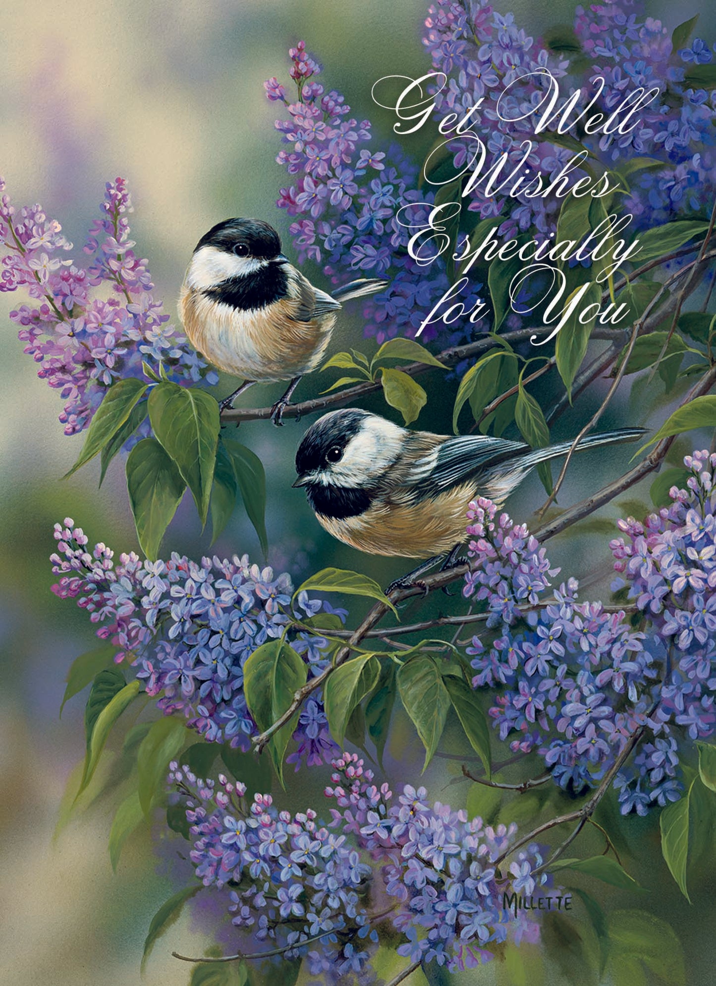 Christian Greeting Cards by Shared Blessings | GET WELL III - Assorted Get Well Cards, Box of 12