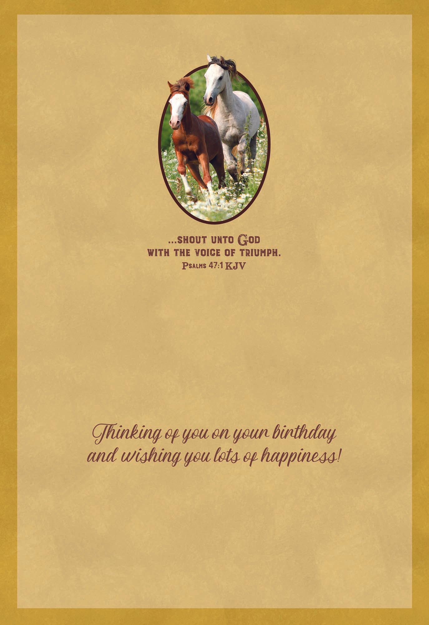 Birthday - Wild Horses - Assorted Birthday Cards