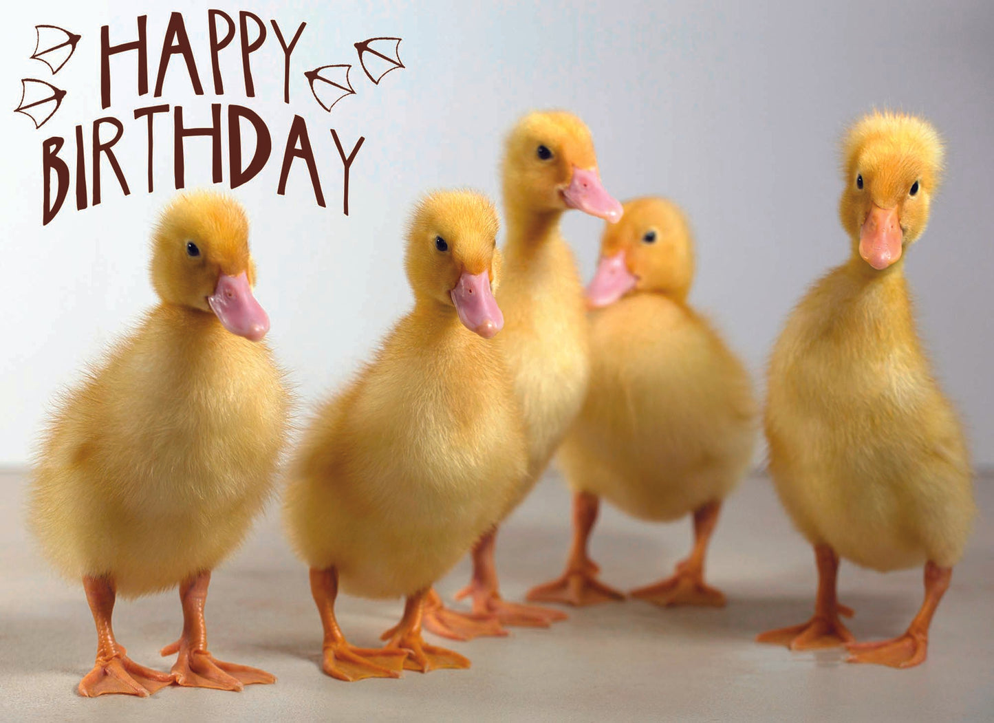 Card Design 2
Front Message - Happy Birthday