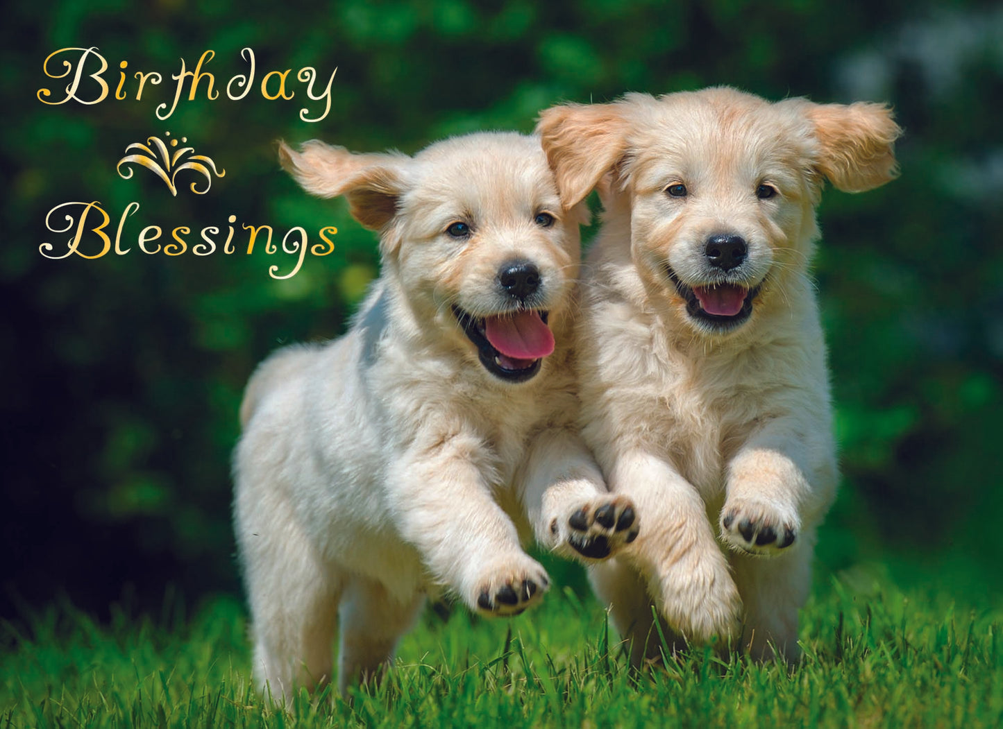 Card Design 3
Front Message - Birthday Blessings