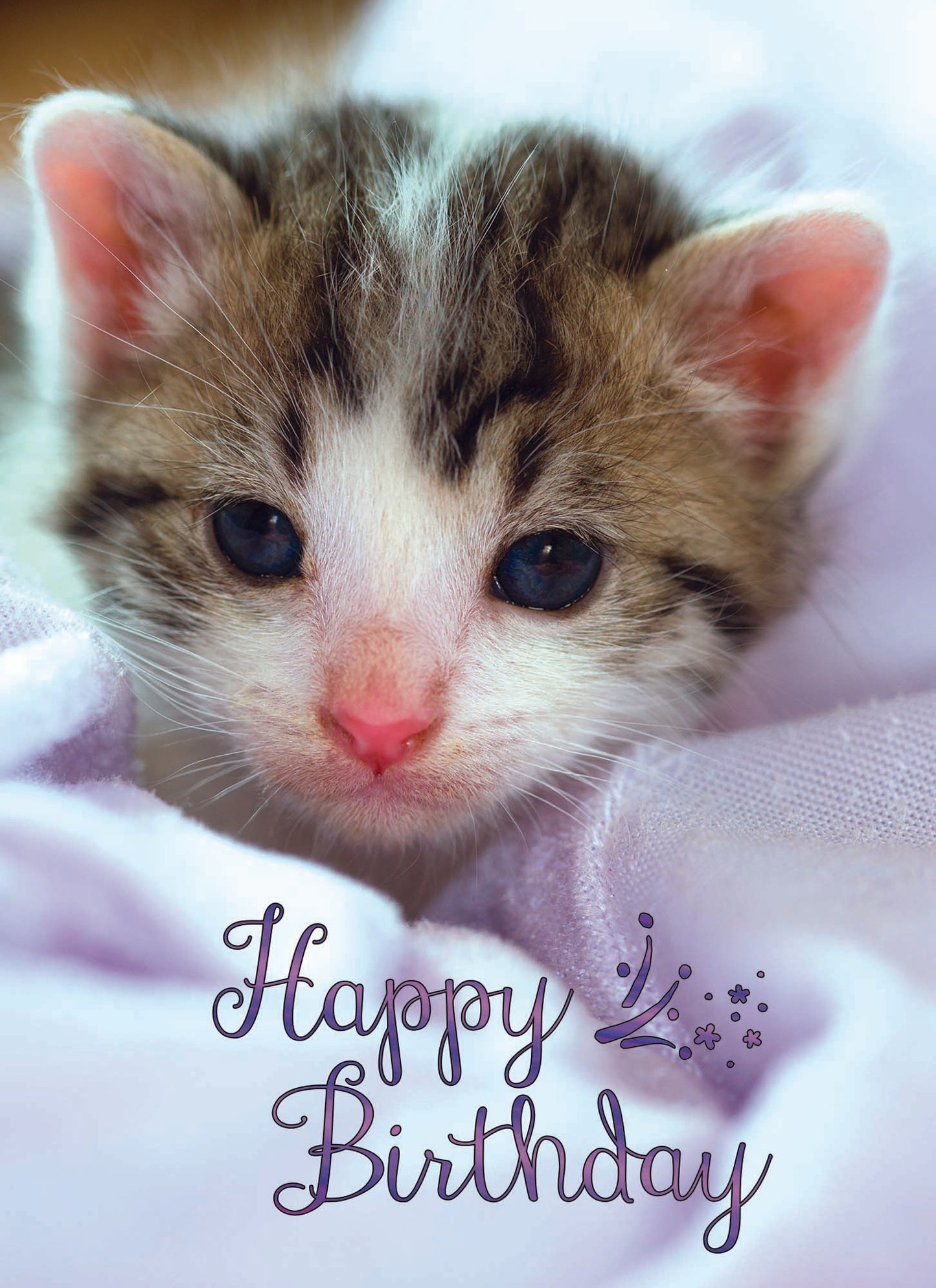 Card Design 4
Front Message - Happy Birthday