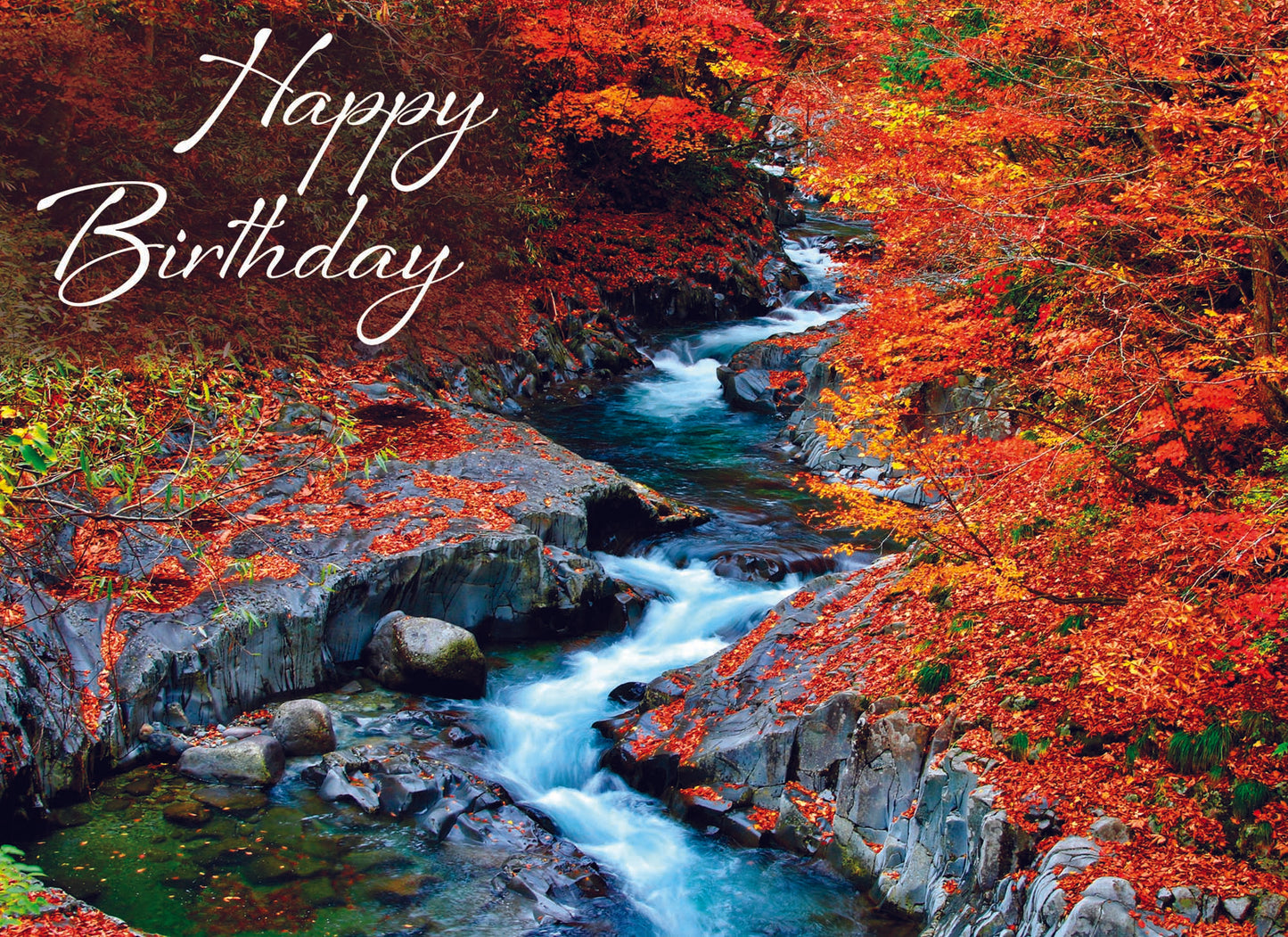 Birthday - Waterways - Assorted Birthday Cards, Box of 12