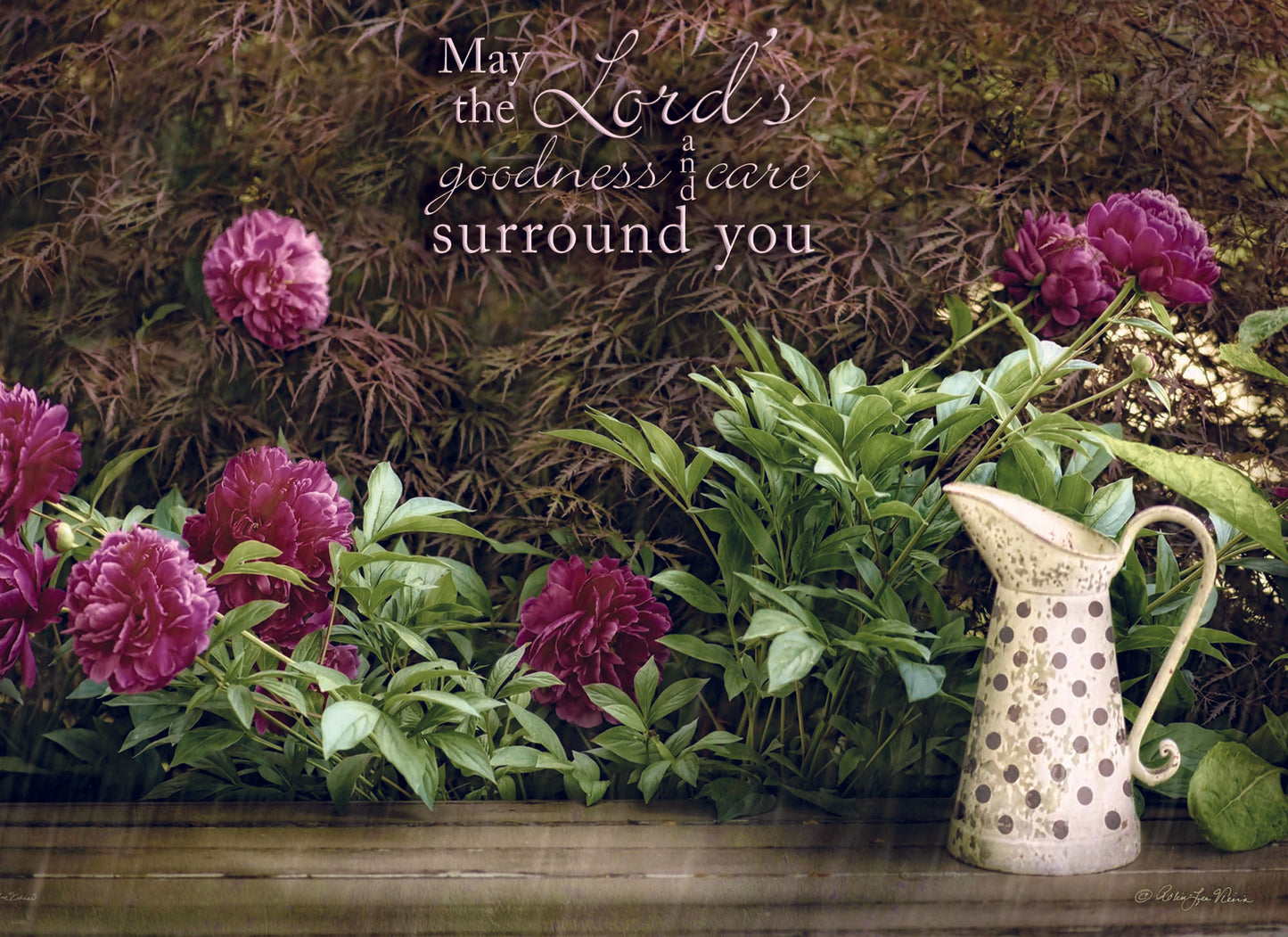 Christian Thinking of You Cards by Shared Blessings- Florally Yours, 12 Cards and Envelopes
