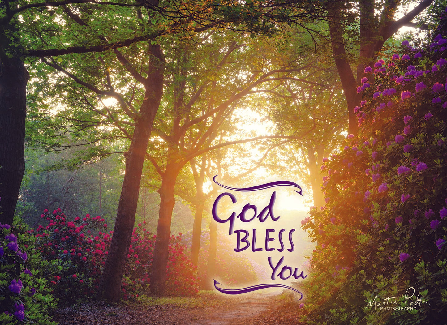 Christian Thinking of You Cards by Shared Blessings- Peaceful Paths, 12 Cards and Envelopes