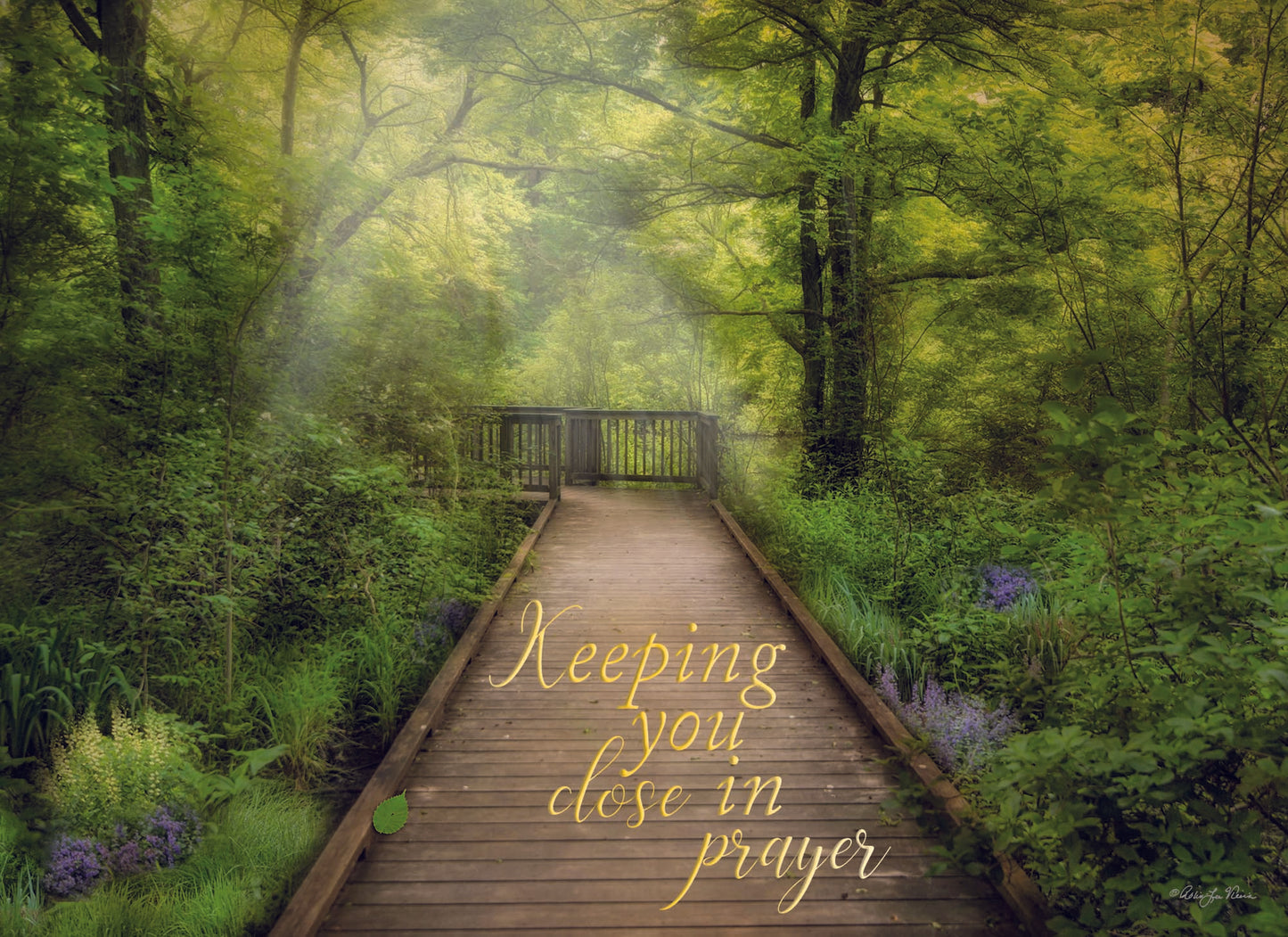 Christian Thinking of You Cards by Shared Blessings- Peaceful Paths, 12 Cards and Envelopes