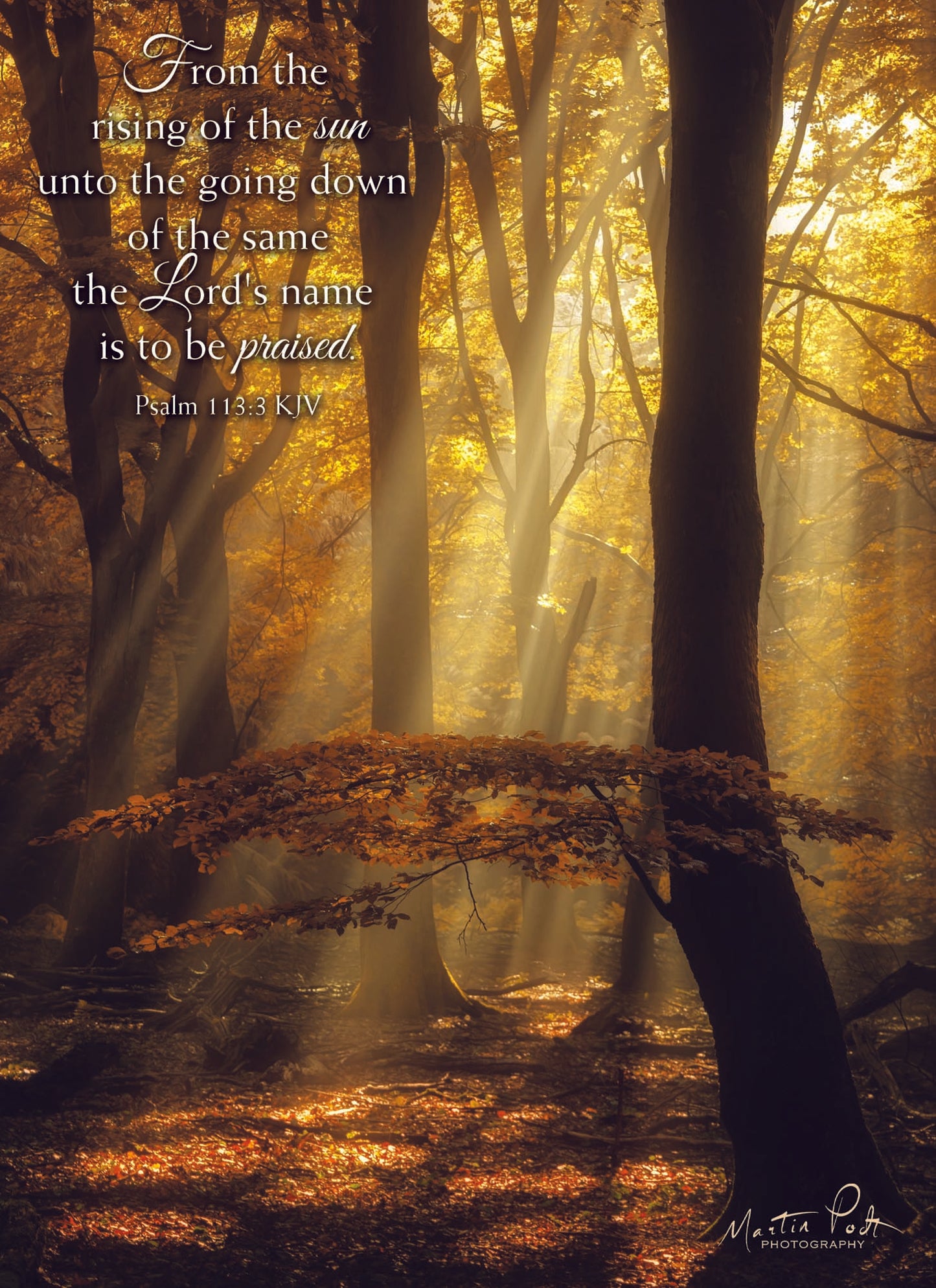 From the rising of the sun unto the going down of the same the Lord's name is to be praised.