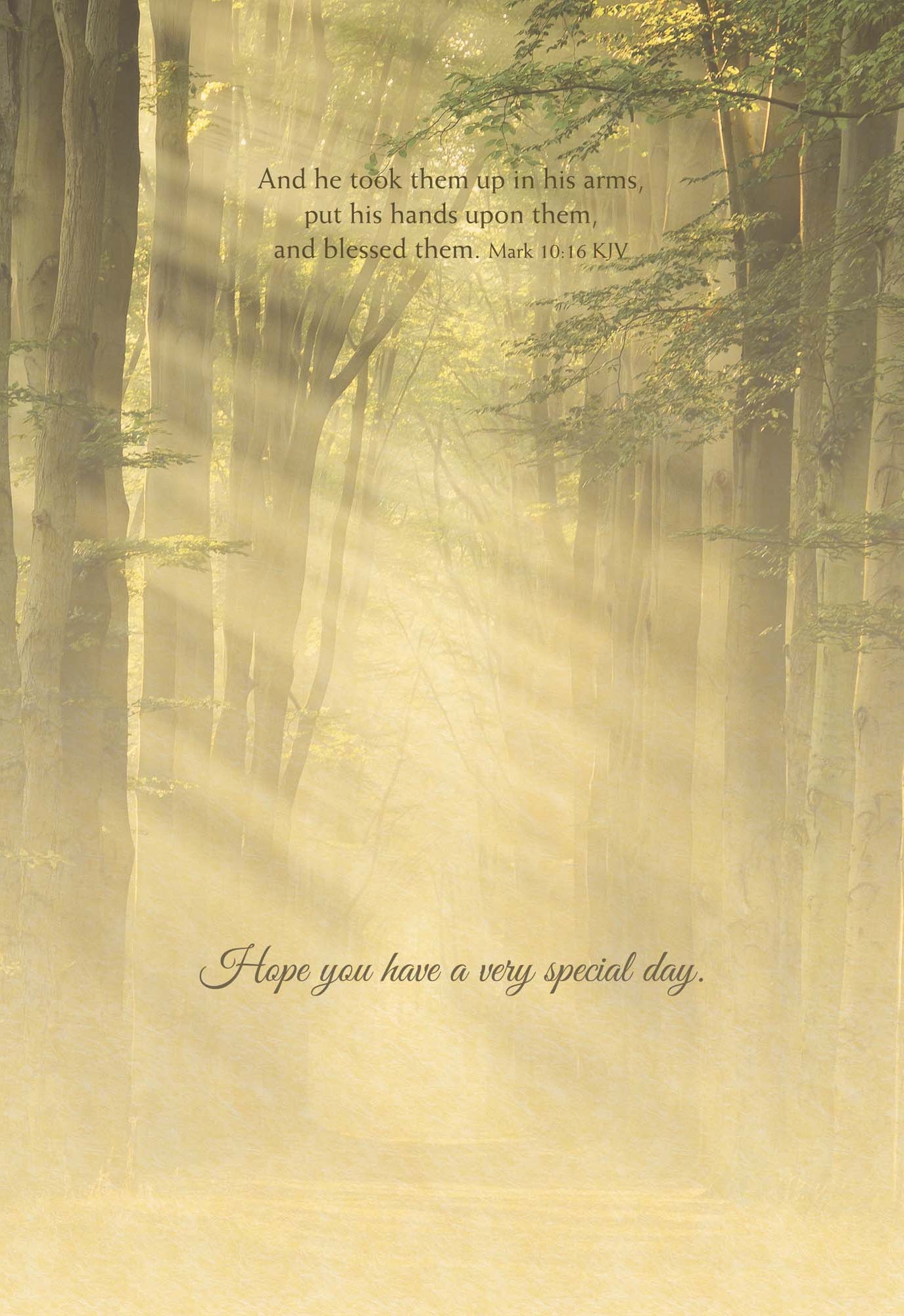 It's Your Birthday - Box of 24 Assorted Birthday Cards by Shared Blessings