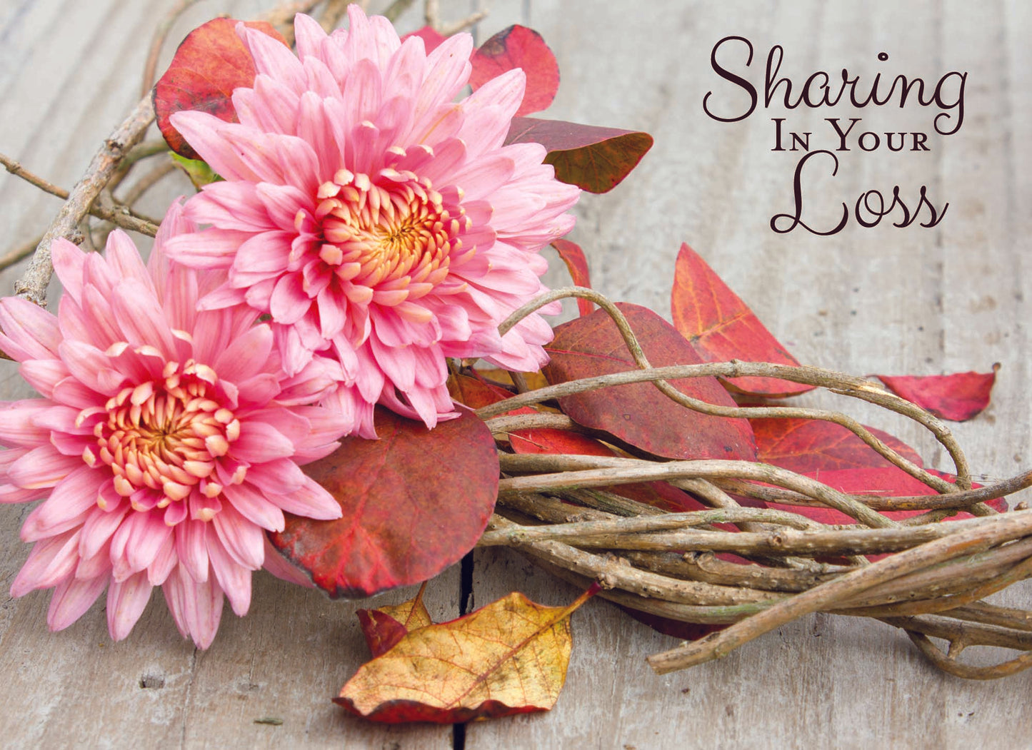 Christian Sympathy Cards by Shared Blessings | Rustic Flowers | 12 Boxed Sympathy Cards