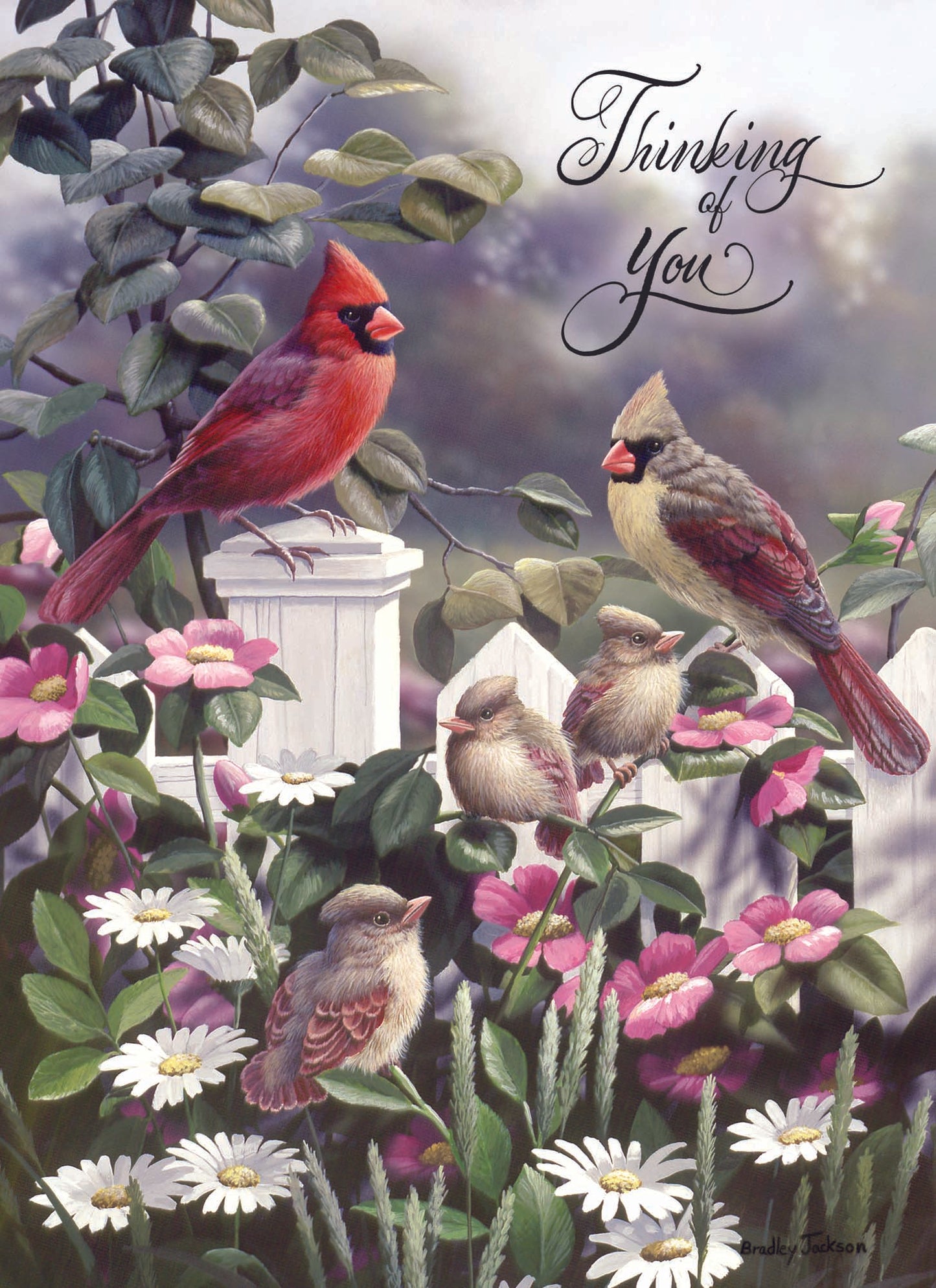 Christian Thinking of You Cards by Shared Blessings, Signs of Spring  - Box of 12 Cards and Envelopes