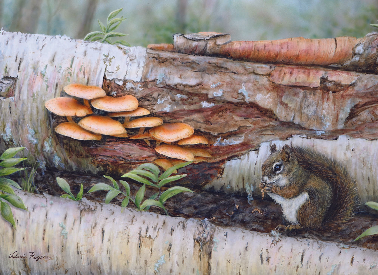 Woodlands - Boxed Thinking of You Cards, Box of 12