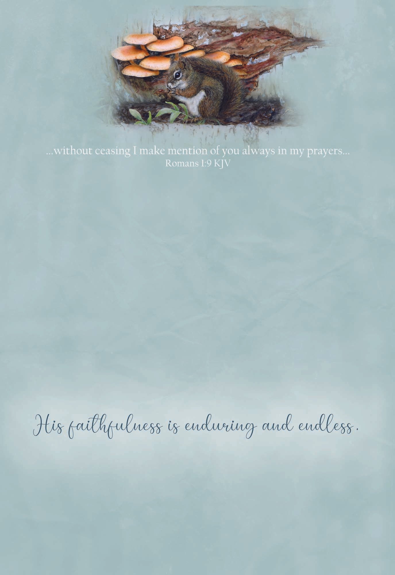 Woodlands - Boxed Thinking of You Cards, Box of 12