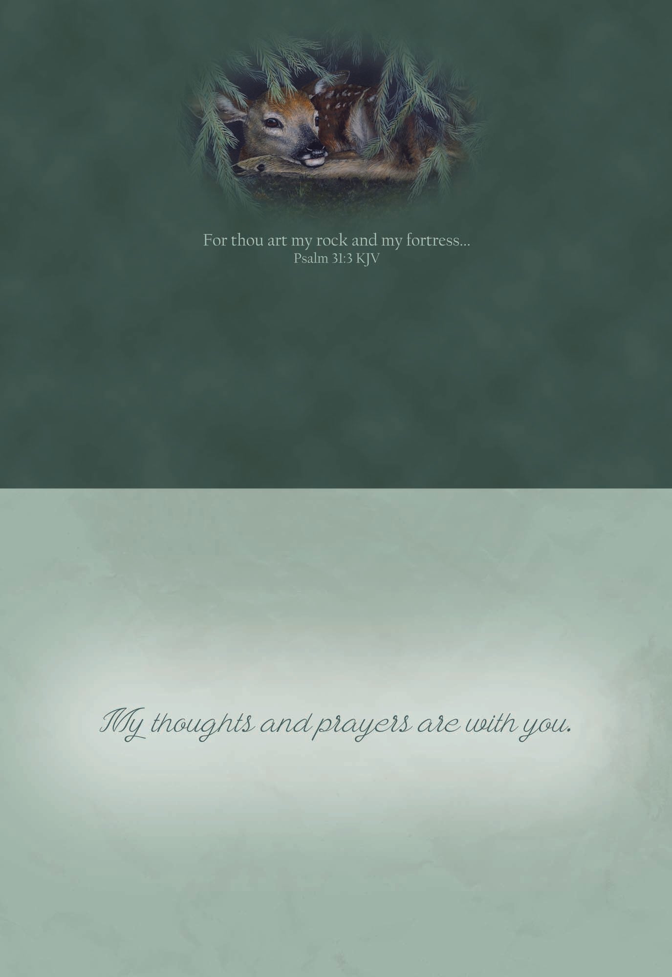 Woodlands - Boxed Thinking of You Cards, Box of 12
