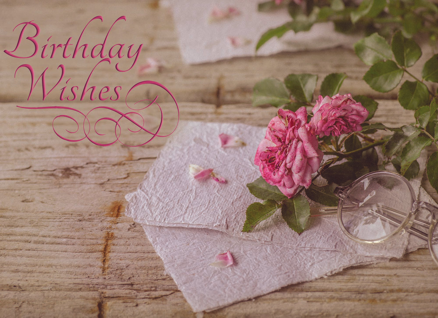 Christian Birthday Cards by Shared Blessings-Floral Moments, 12 Cards and Envelopes