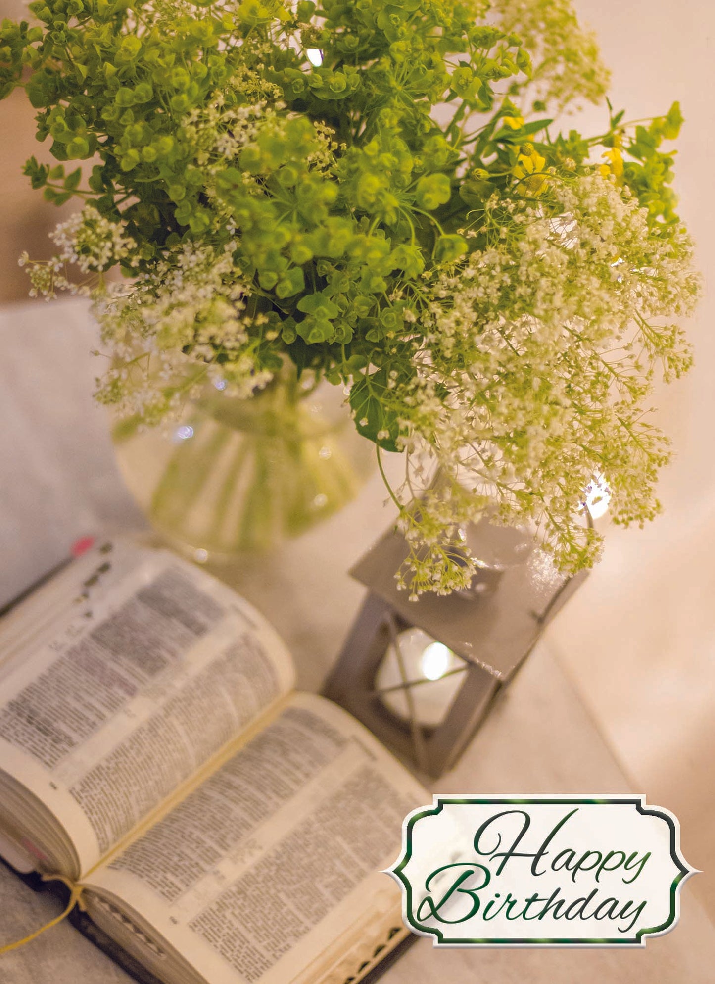 Christian Birthday Cards by Shared Blessings-Floral Moments, 12 Cards and Envelopes