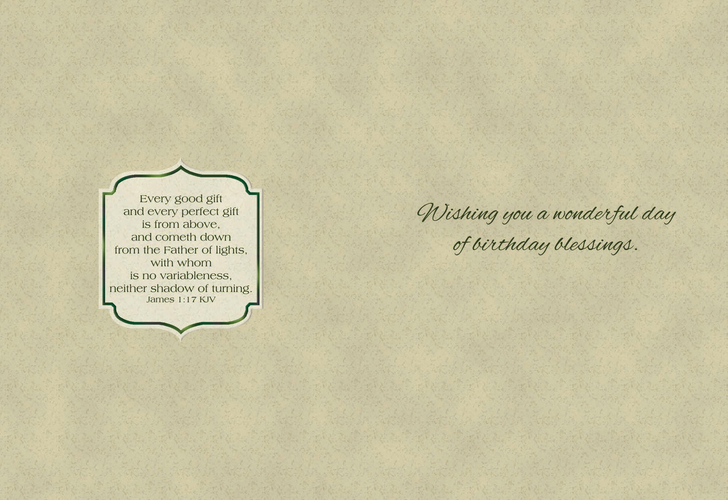 Christian Birthday Cards by Shared Blessings-Floral Moments, 12 Cards and Envelopes