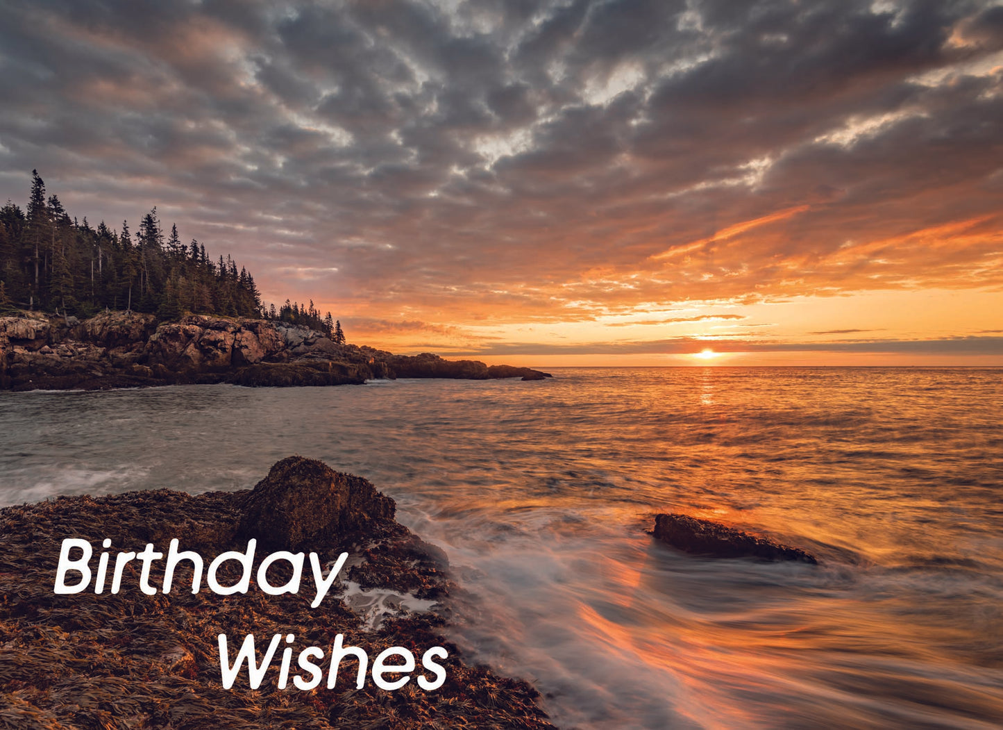 Boxed Assorted Birthday Cards - On the Shore