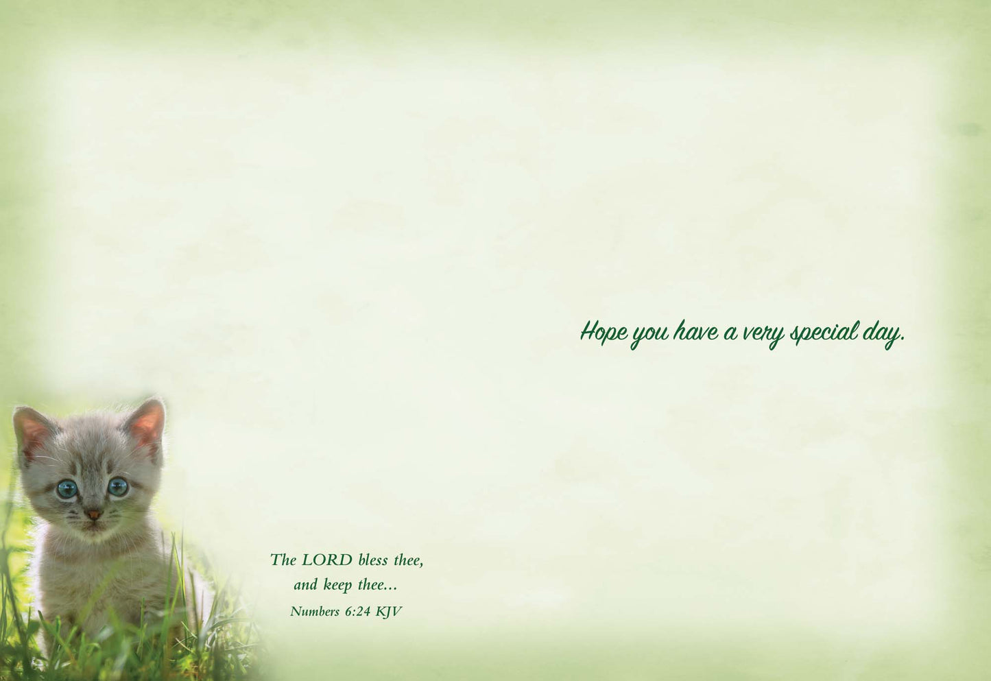 Christian Birthday Cards from Shared Blessings-Puppies and Kittens, Box of 12 Cards and Envelopes