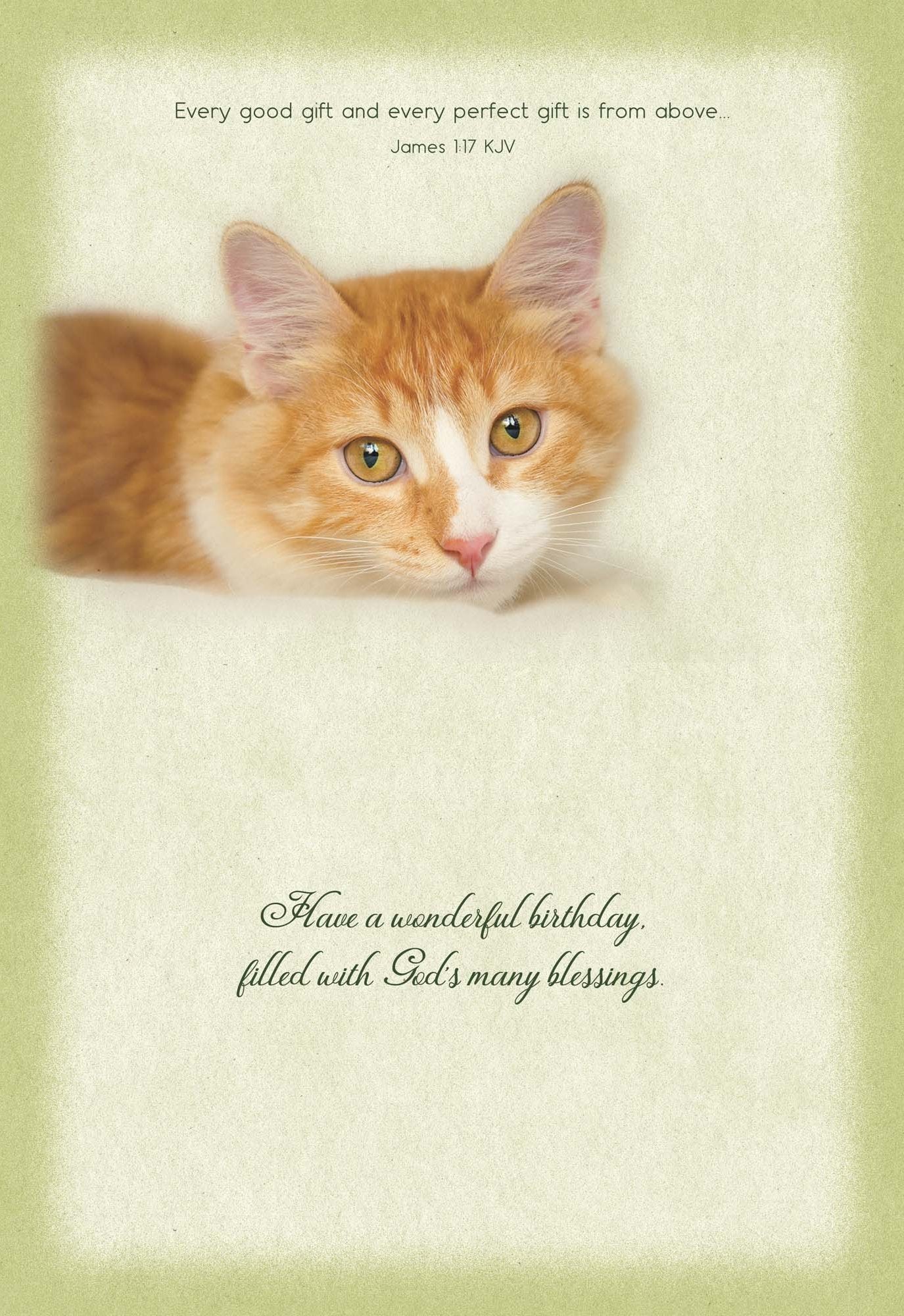 Christian Birthday Cards from Shared Blessings-Puppies and Kittens, Box of 12 Cards and Envelopes