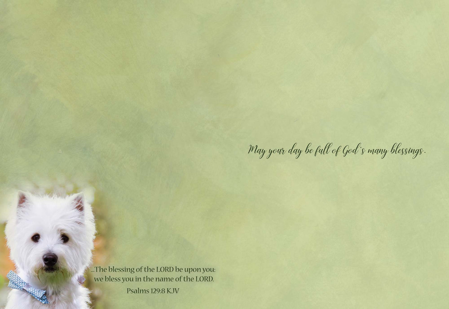 Christian Birthday Cards from Shared Blessings-Puppies and Kittens, Box of 12 Cards and Envelopes