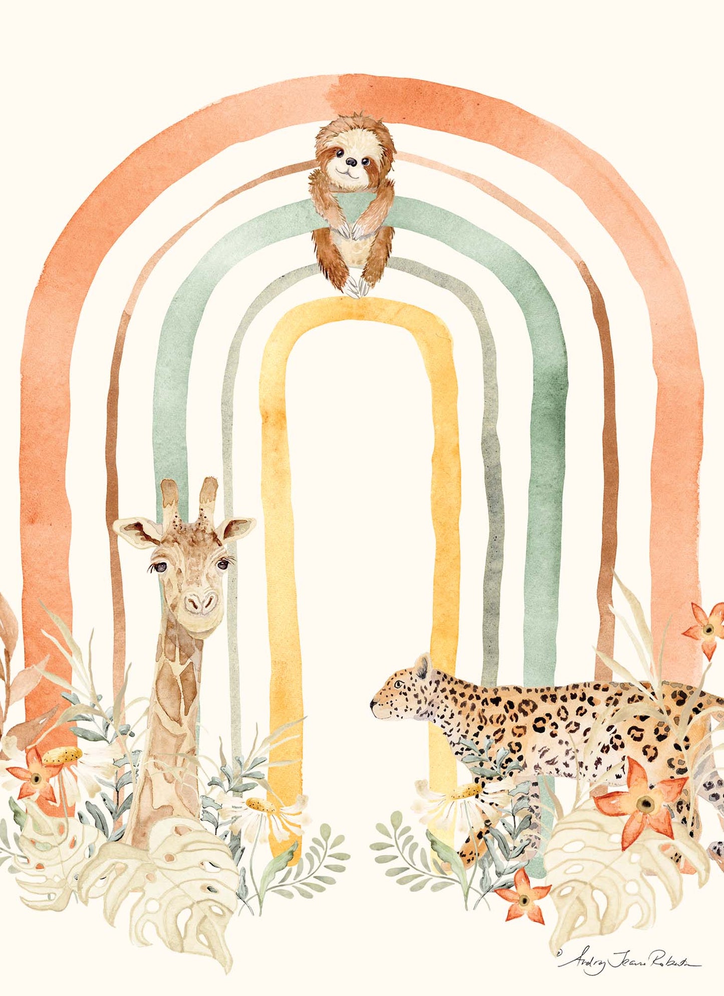 Bundle of Joy - Box of 12 Assorted New Baby Cards