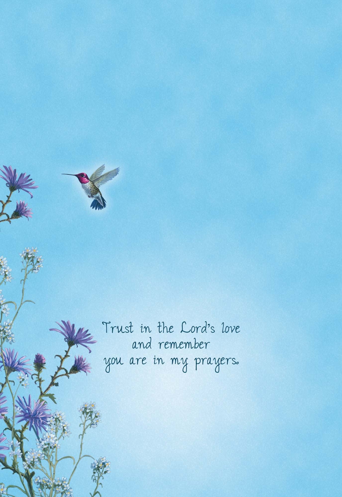 Christian Encouragement Cards by Shared Blessings - Hummingbirds - 12 Assorted Encouragement Cards