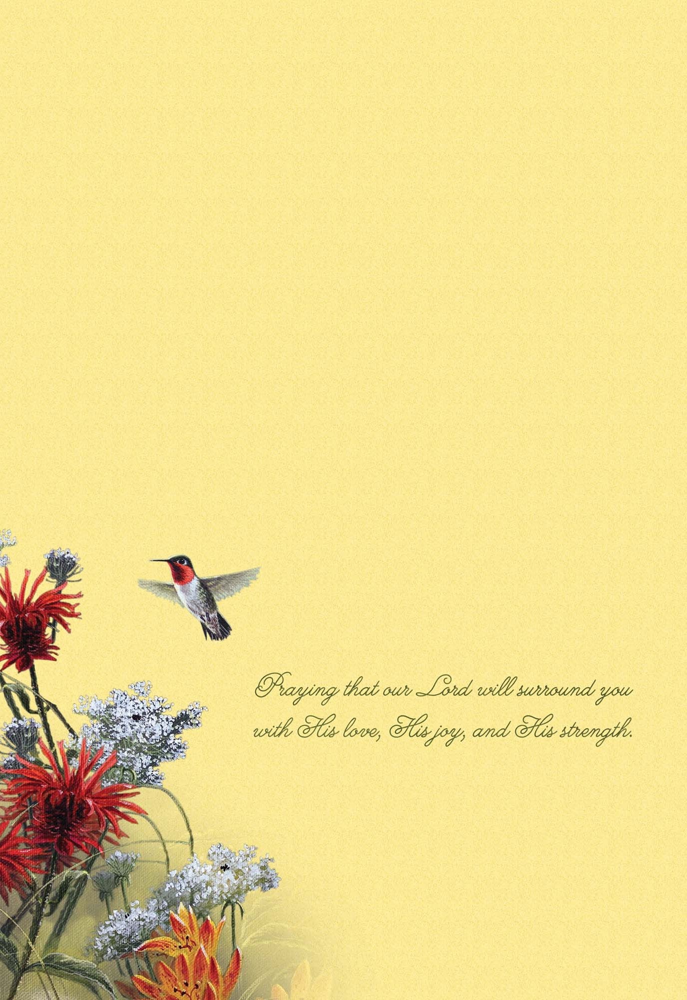 Christian Encouragement Cards by Shared Blessings - Hummingbirds - 12 Assorted Encouragement Cards