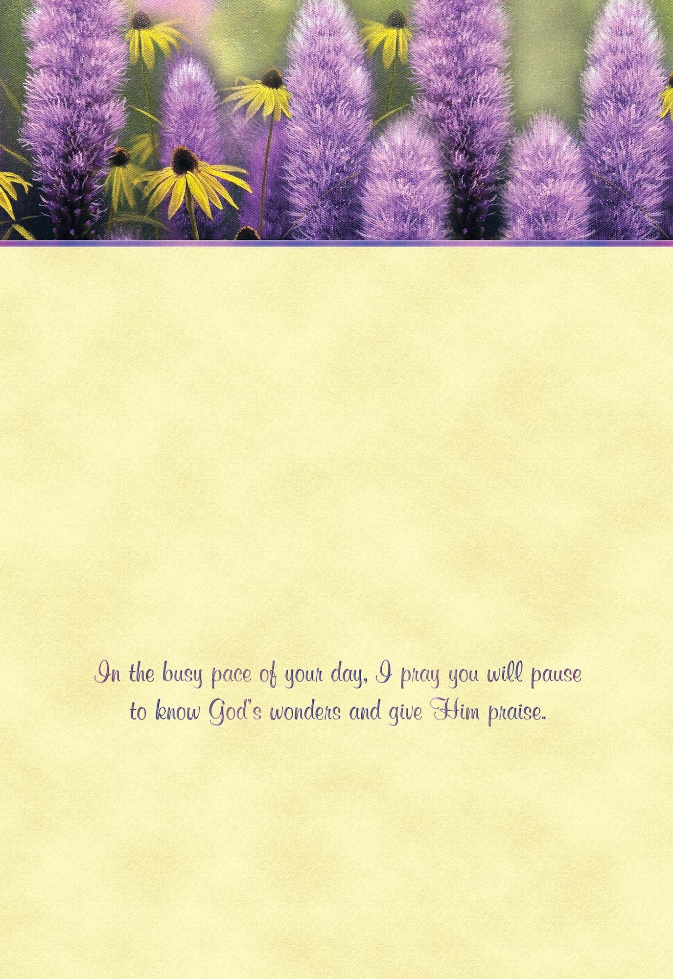 Christian Encouragement Cards by Shared Blessings - Hummingbirds - 12 Assorted Encouragement Cards