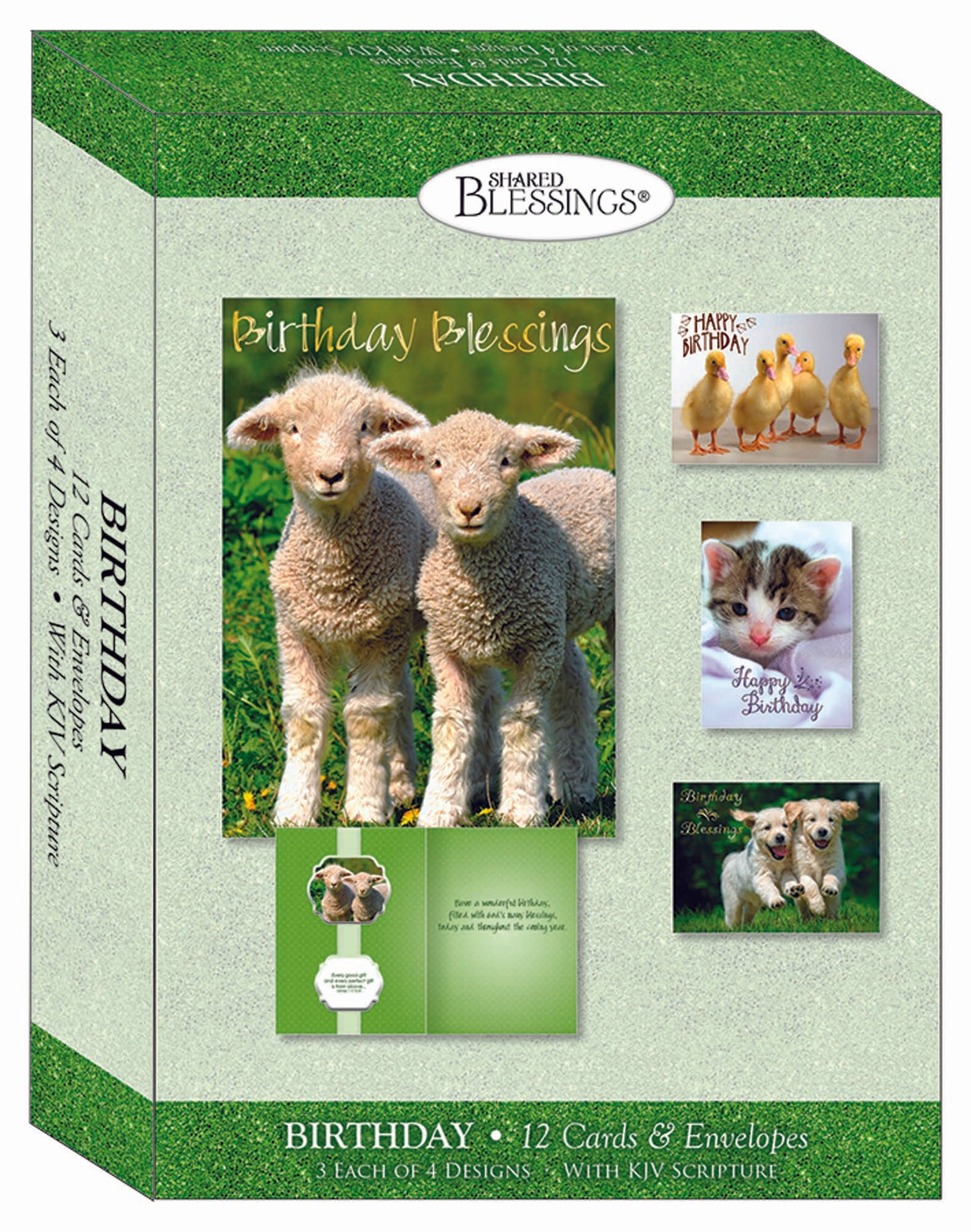 Christian Birthday Cards by Shared Blessings- Fur and Feathers - Assorted Greeting Cards, Box of 12