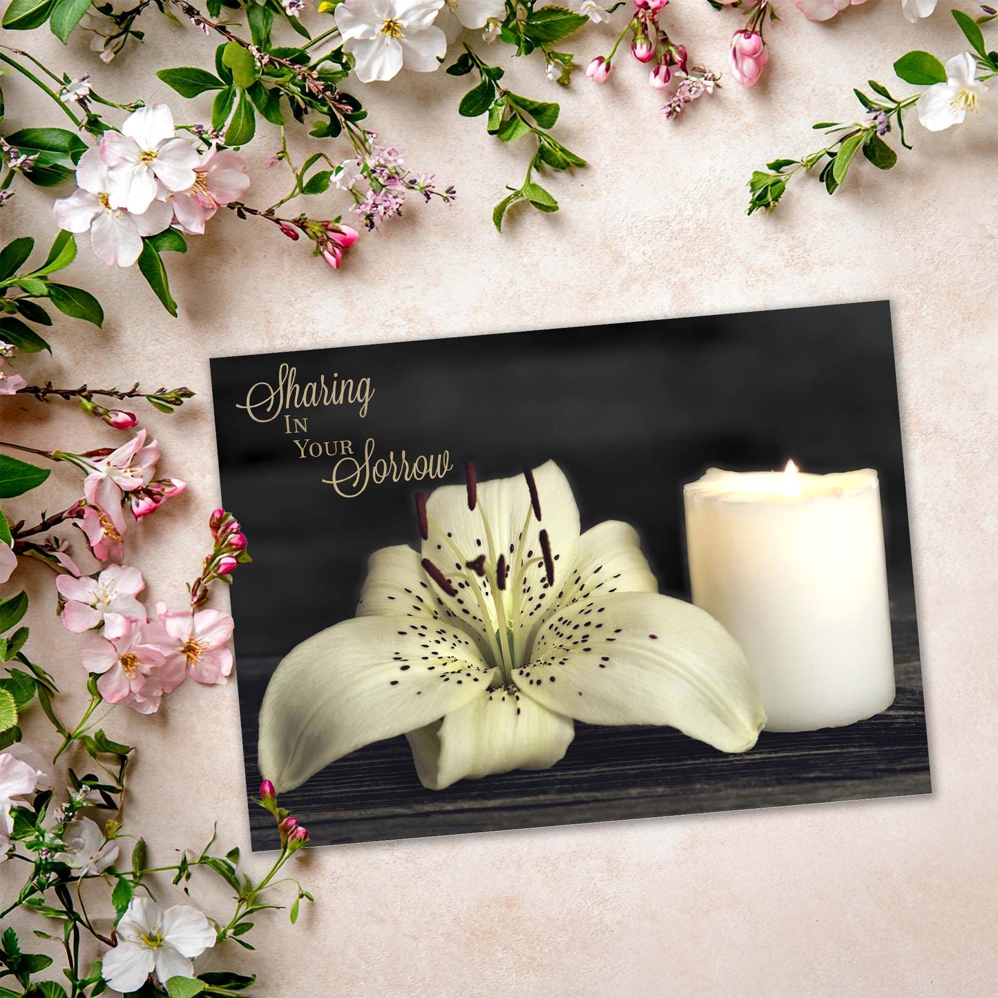 Christian Sympathy Cards by Shared Blessings- Candles, 12 Cards and Envelopes