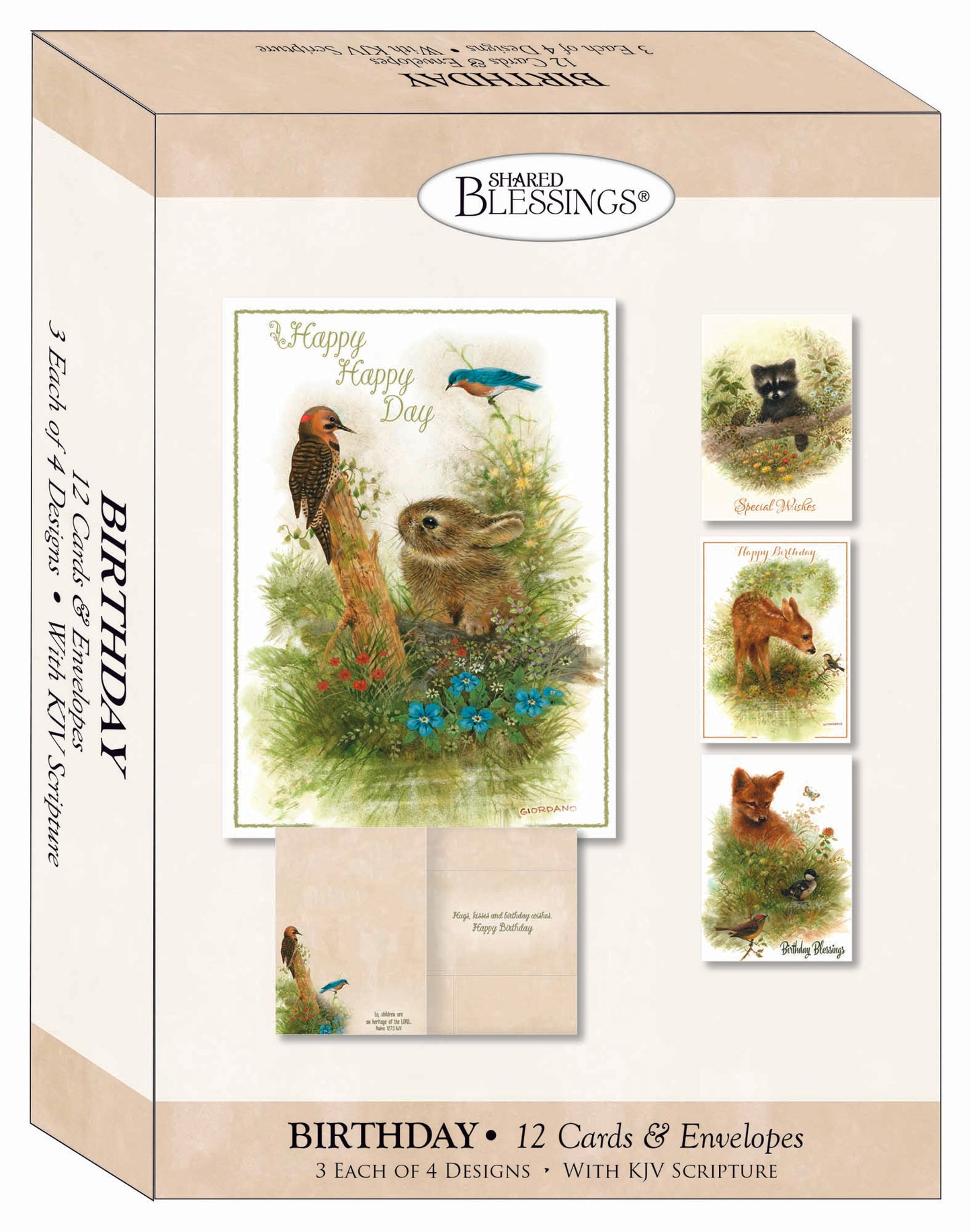 Christian Birthday Cards by Shared Blessings-Wee Wildlife, 12 Boxed Greeting Cards